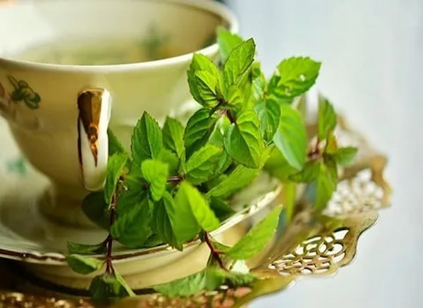 قیمت عرق نعنا دو آتیشه کاشان + خرید باور نکردنی